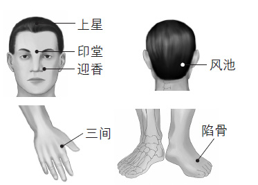 鼻塞、打鼾等鼻子問題的防治