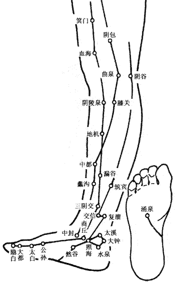點擊將在新窗口查看全圖